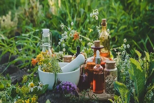تقویت سیستم ایمنی بدن با گیاهان دارویی