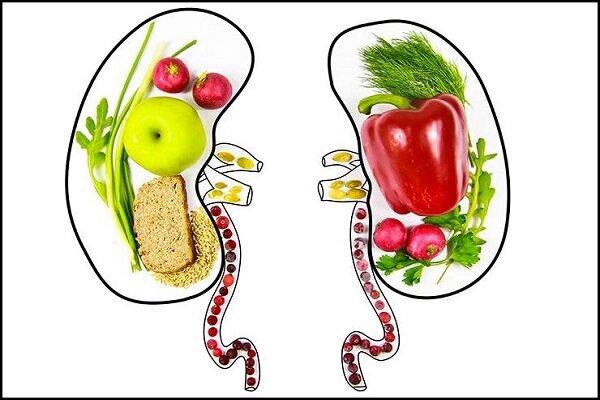 رژیم غذایی هدفمند، کلید مدیریت بیماری های کلیوی