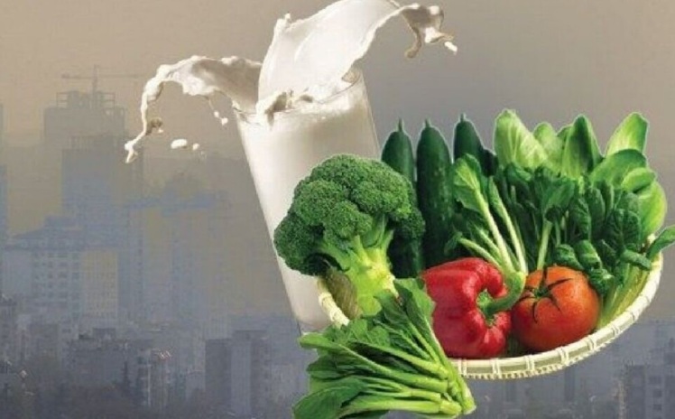 در آلودگی هوا چه بخوریم و چه نخوریم؟ 